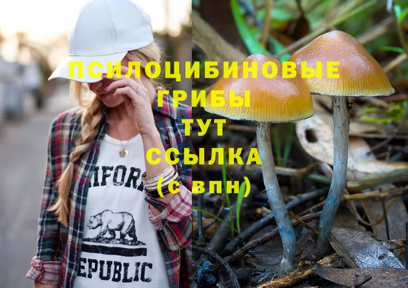 Галлюциногенные грибы Psilocybine cubensis Балаково